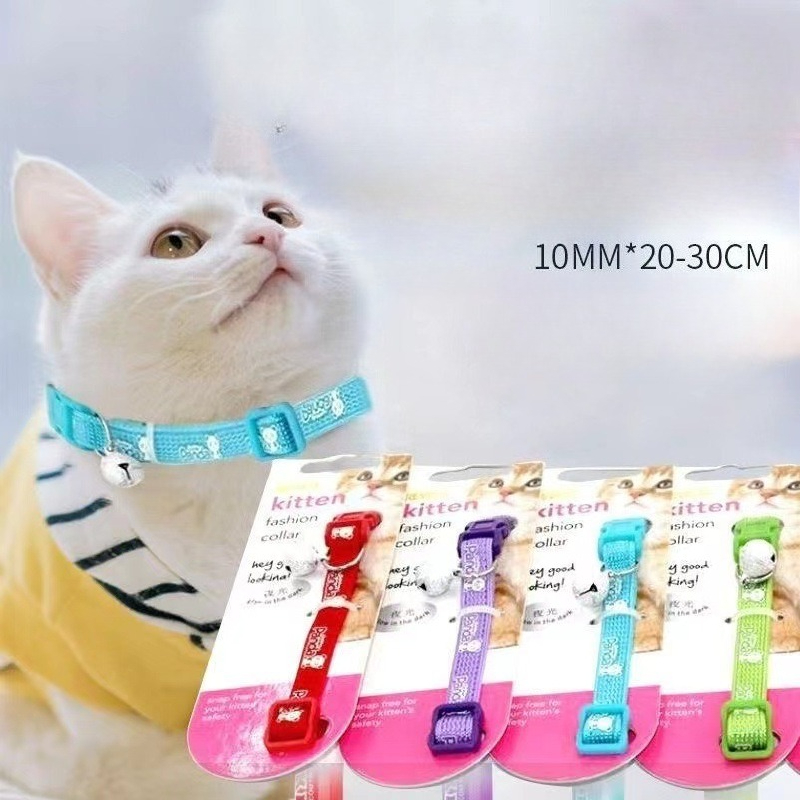 Pet Supplies For Dogs - Suprimentos para Animais de Estimação, Acessórios