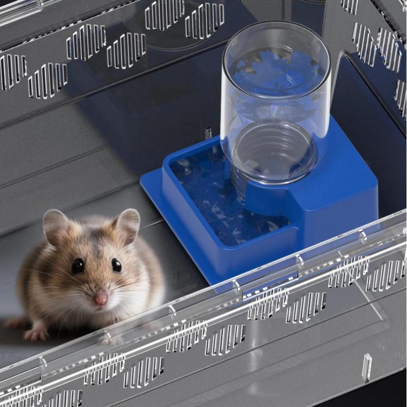 Automatic Pet Feeder - (BF06) Garrafa de Água Automática para