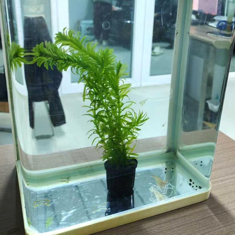 4 Peças de Cestos Fixos para A - Aquarium Fish Tank avaliação e preço