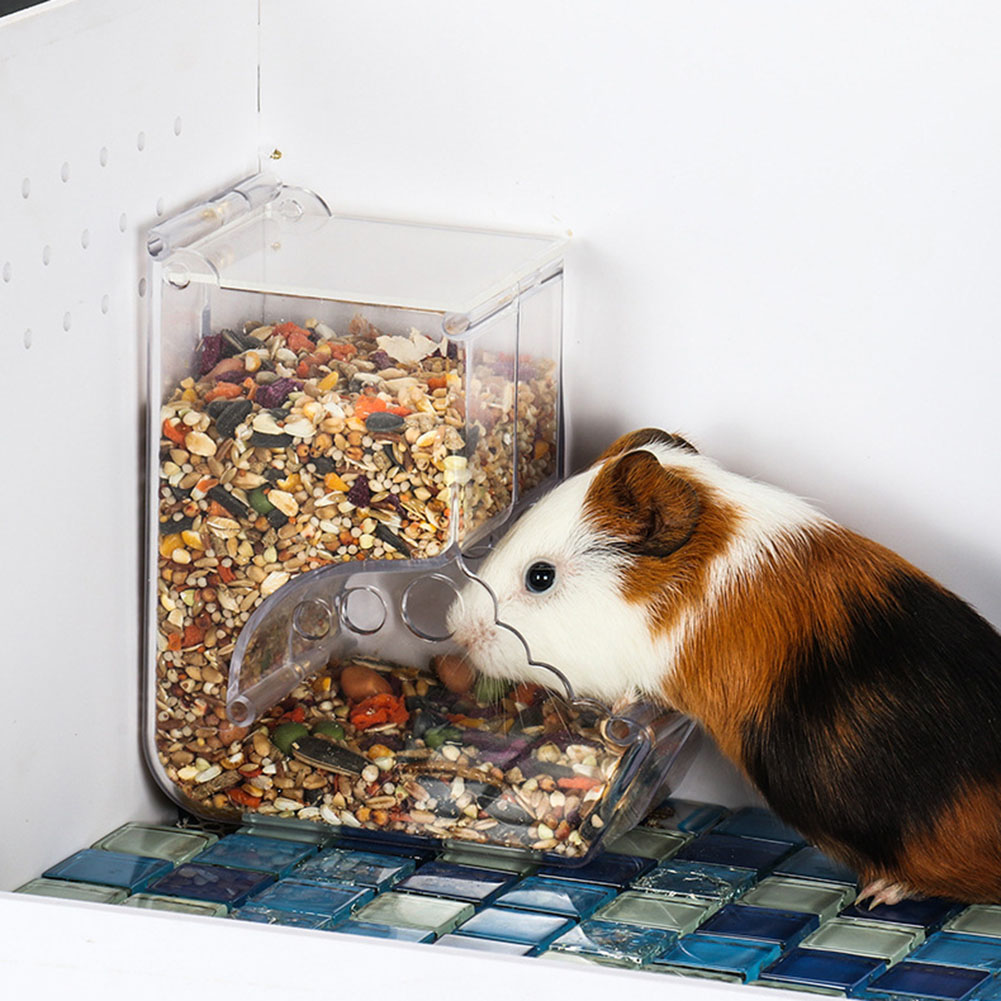   2-1 pçs bonito hamster sam - Automatic Pet Feeder avaliação e preço