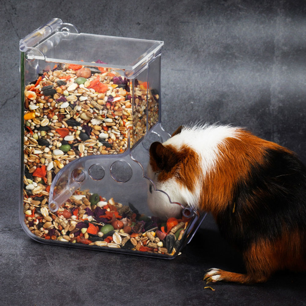   2-1 pçs bonito hamster sam - Automatic Pet Feeder avaliação e preço