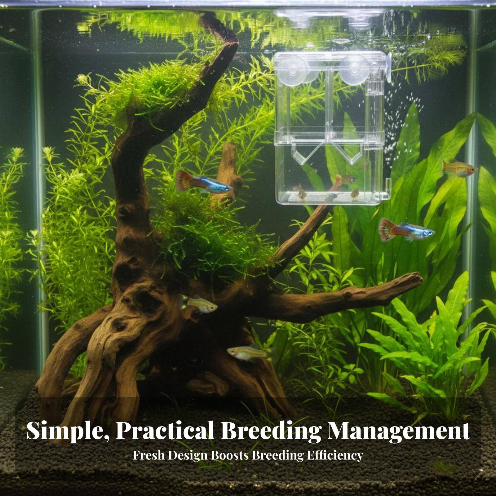 Caixa de Criação Transparente  - Aquarium Fish Tank avaliação e preço