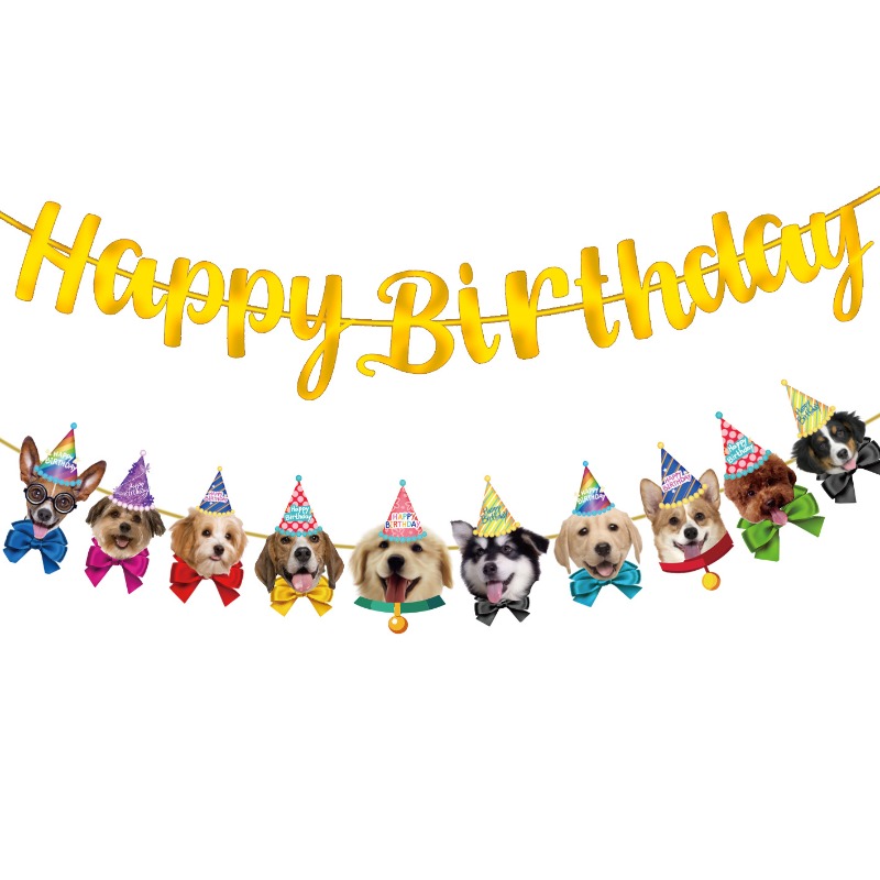 Kit de Banner Festivo para Gat - Pet Supplies For Dogs avaliação e preço