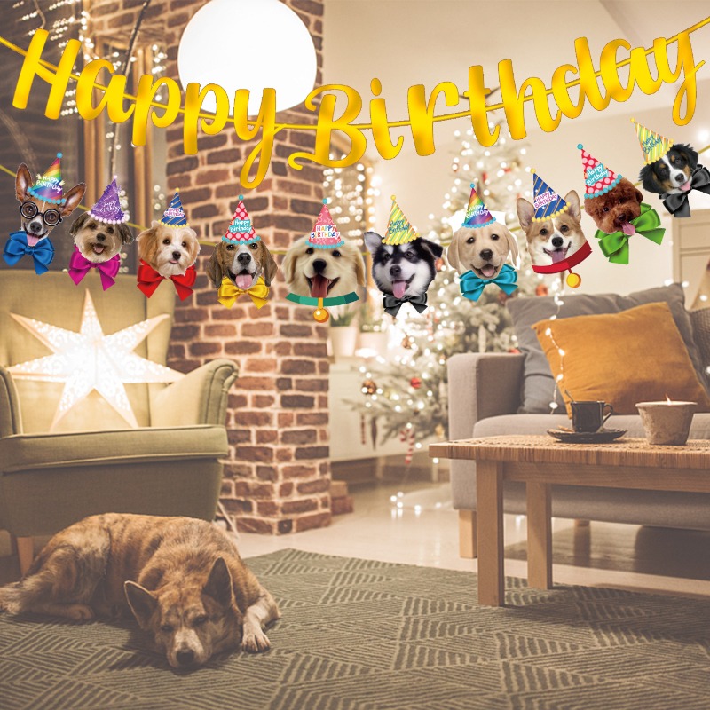 Kit de Banner Festivo para Gat - Pet Supplies For Dogs avaliação e preço