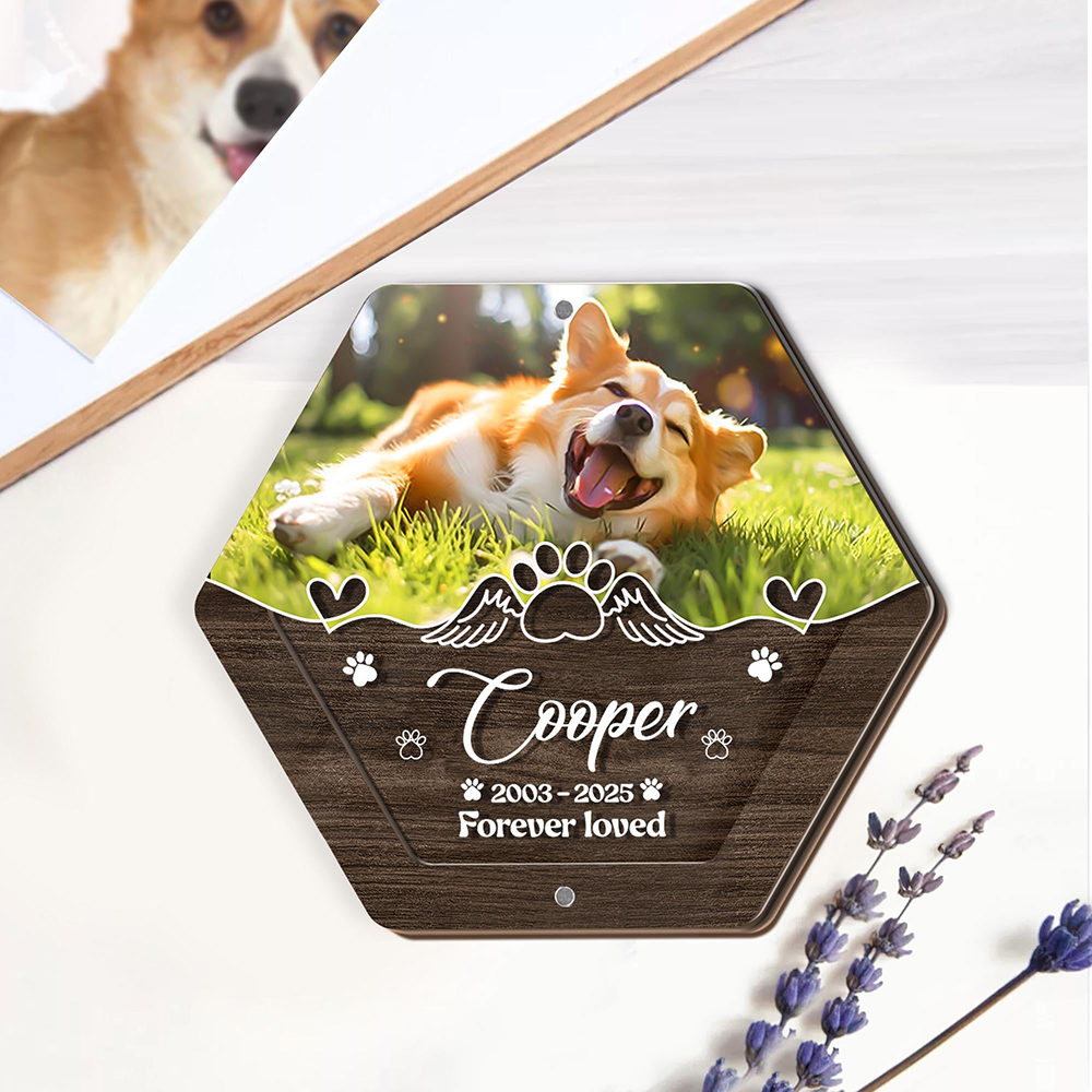 Nome personalizado escultura e - Pet Supplies Discount avaliação e preço
