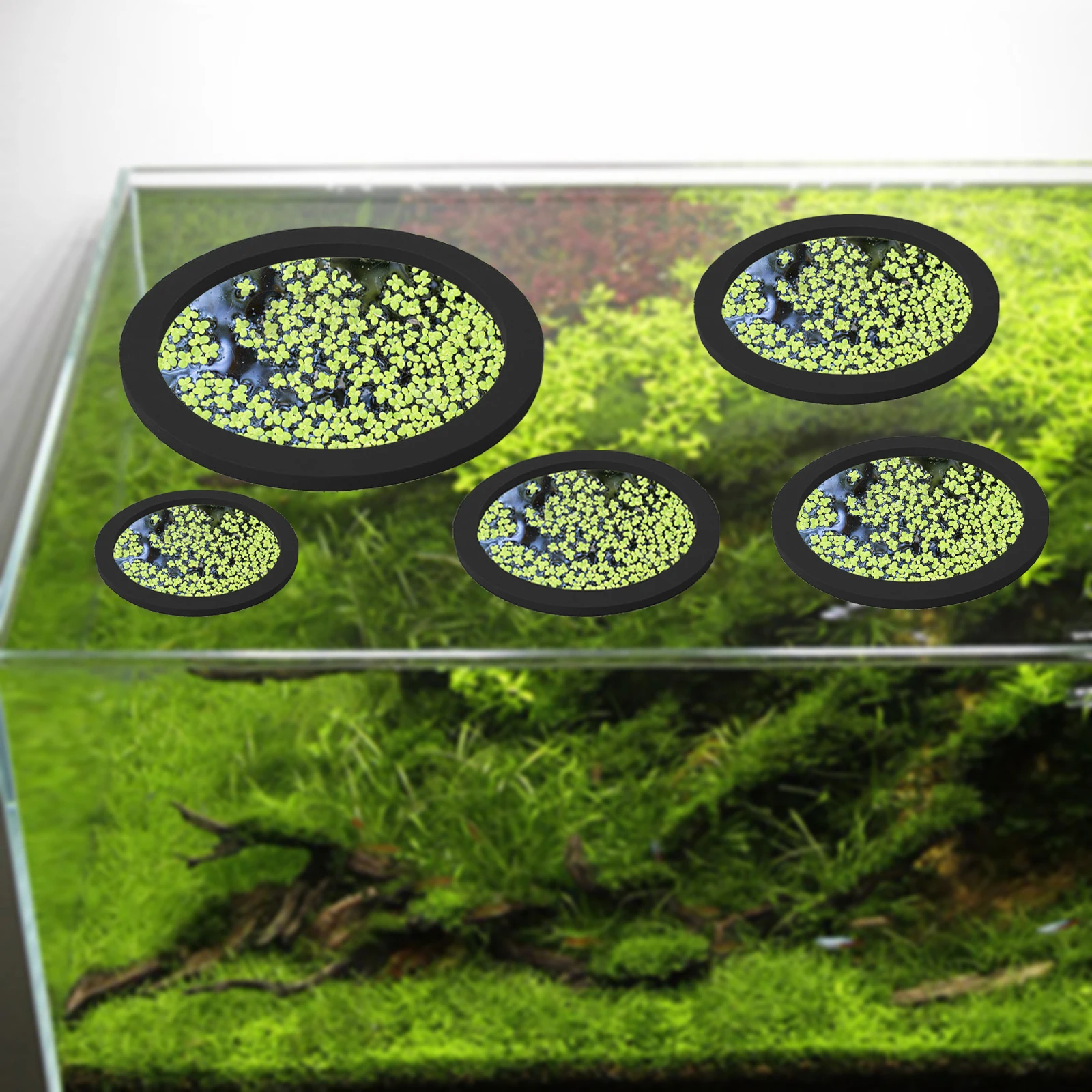 5 pçs eva anel de alimentação  - Aquarium Fish Tank avaliação e preço