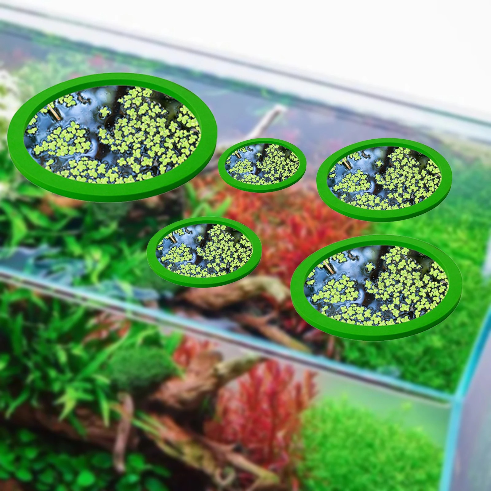 5 pçs eva anel de alimentação  - Aquarium Fish Tank avaliação e preço