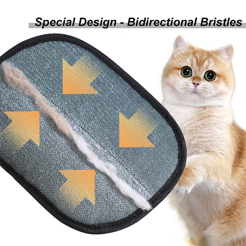Nova Luva Eletrostática para R - Pet Supplies Discount avaliação e preço