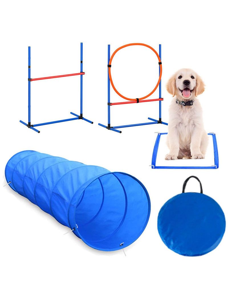 Acórios para Treinamento de Ob - Pet Supplies For Dogs avaliação e preço