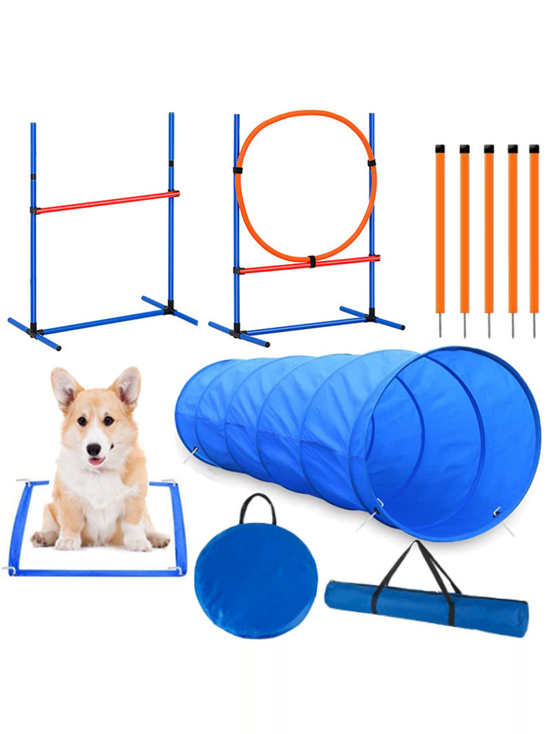 Acórios para Treinamento de Ob - Pet Supplies For Dogs avaliação e preço