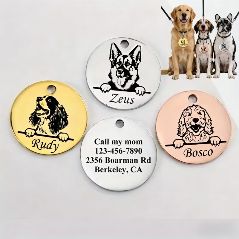 Coleiras Personalizadas para C - Pet Supplies Discount avaliação e preço