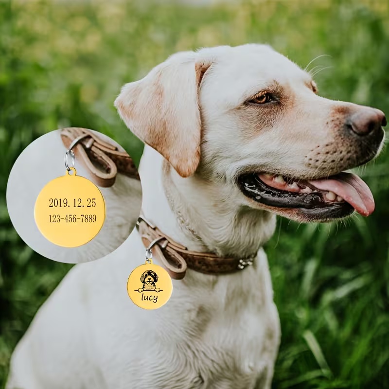 Coleiras Personalizadas para C - Pet Supplies Discount avaliação e preço